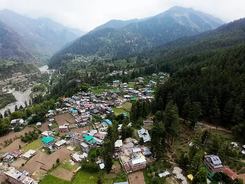 Pulga Village 